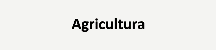 banner agricultura